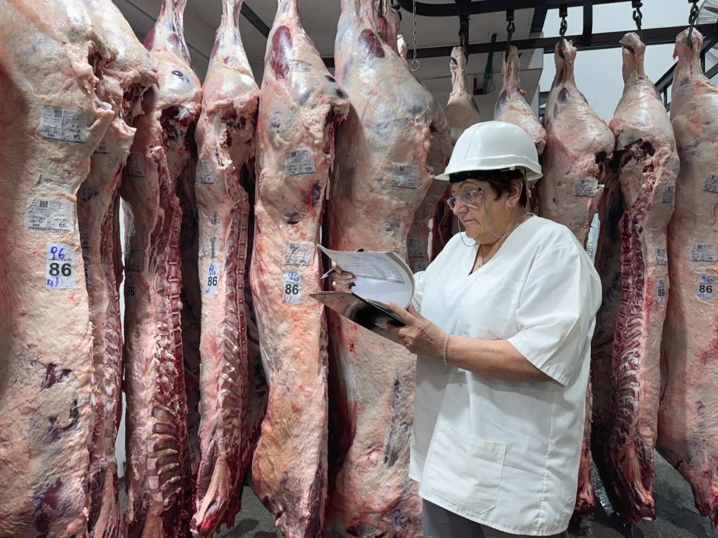 irma media res vacuna