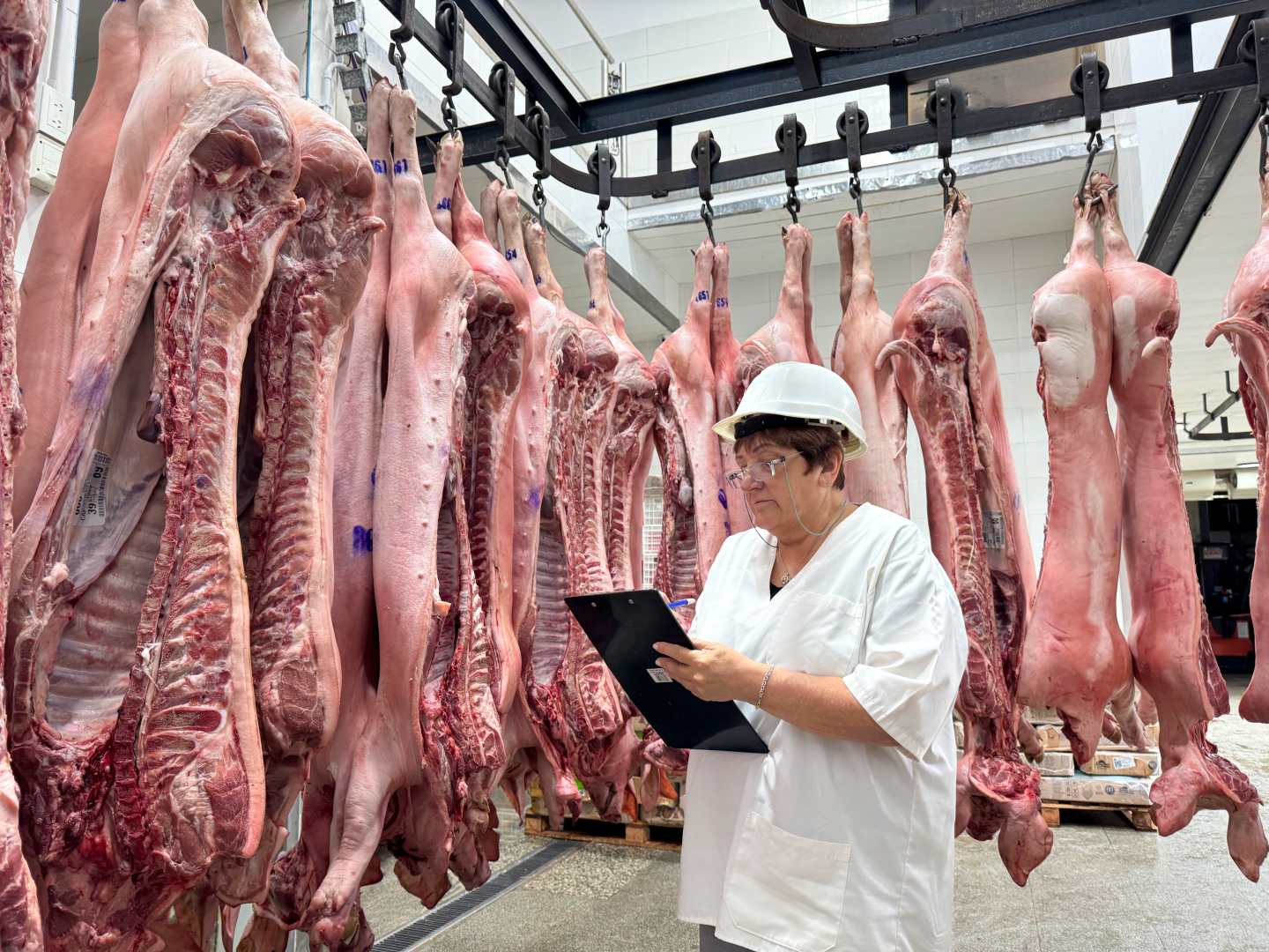 irma medias de cerdo